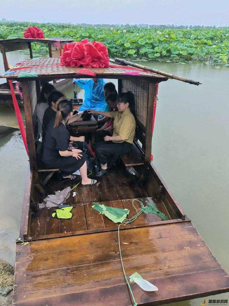 老人船上弄雨荷好吗：探寻其中独特的人文风情与意境